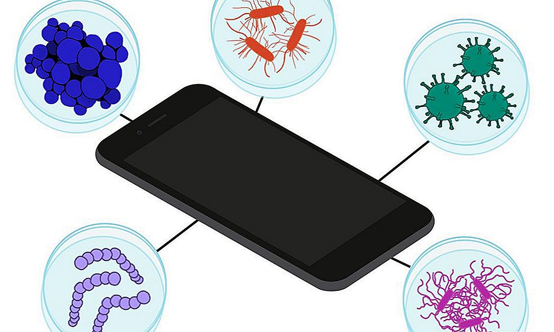 Бактерии на телефоне картинки