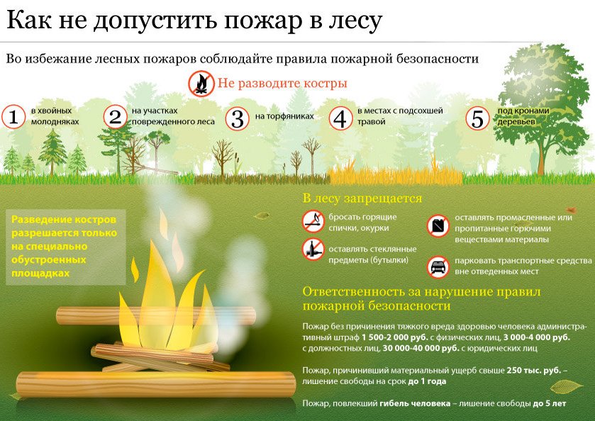 Как не допустить пожара в лесу